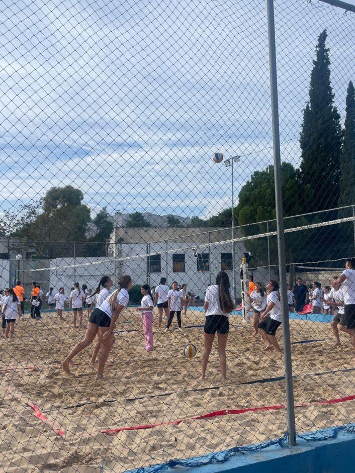 593603254 1172553951670124 3223166858098012695 N 706x941