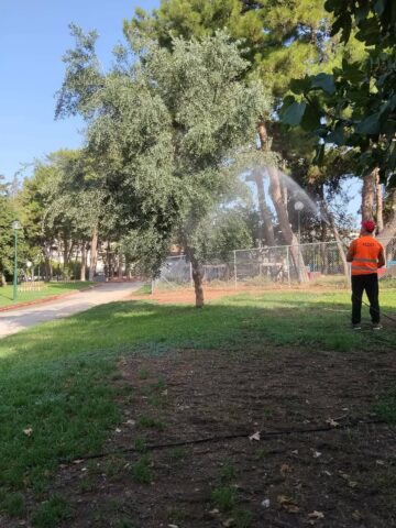 Εικόνα άρθρου: Πρόγραμμα καταπολέμησης κουνουπιών, κατσαρίδων και τρωκτικών στο Δήμο Αγίας Βαρβάρας: ΔΙΕΝΕΡΓΕΙΑ 5ης και 6ης ΕΦΑΡΜΟΓΗΣ